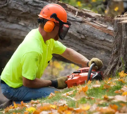 tree services Bladenboro